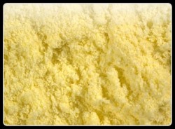 Maize Flour 1 kg