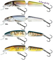 Salmo rybarske voblery  Fanatic IF7F RSM