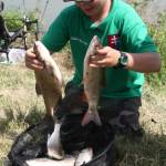 Browning_Feeder_Cup_Slovakia_2015456.JPG