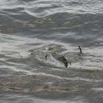 De� venovan� DE�OM - fotogal�ria 195_Workshop 2014.JPG