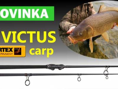 Novinka 2019: Kaprové prúty Sportex Invictus Carp