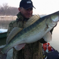 Zdol� Mi�o aj 260kg sumca? Ryba�ka na S�ve v Chorv�tsku