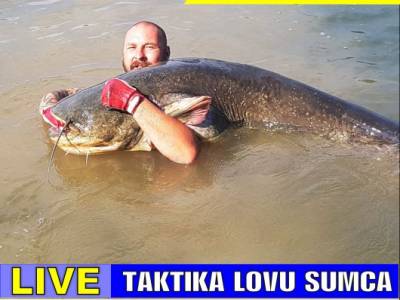 Pozývame vás: RTV LIVE na stope sumcom