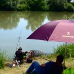 Browning Feeder Cup 2015_0920.JPG