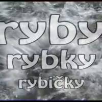 Telev�zna rel�cia o ryb�ch a ryb�roch Ryby, rybky rybi�ky na �pecializovan�m telev�znym kan�lom o love, rybolove, pr�rode a dobrodru�stve - Fishing and Hunting!!!