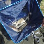 Browning Feeder Cup 2015_1003.JPG