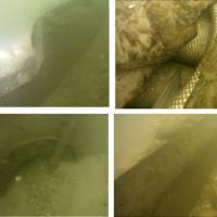 U� �iadne tajomstv�! Odha�te s nami i to, �o je skryt�...