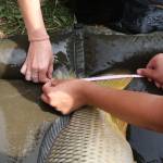 De� venovan� DE�OM - fotogal�ria 305_Workshop 2014.JPG