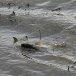 De� venovan� DE�OM - fotogal�ria 200_Workshop 2014.JPG