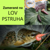 Pripravte sa na pstruhovú sezónu Pripravte sa na pstruhovú sezónu