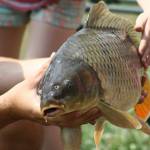 De� venovan� DE�OM - fotogal�ria 220_Workshop 2014.JPG