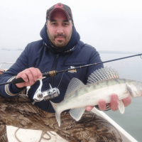 Pr�vla�ov� pr�ty SPORTEX Black Arrow G2