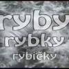 Televzna relcia o rybch a rybroch Ryby, rybky rybiky na pecializovanm televznym kanlom o love, rybolove, prrode a dobrodrustve - Fishing and Hunting!!!