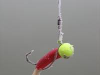 Geoff Anderson v Chorv�tsku_6