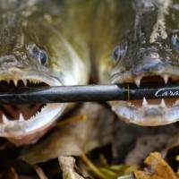 NAJSILNEJ�IE syntetick� vl�kno na svete je pou�it� v RYB�RSKOM PR�TE SPORTEX