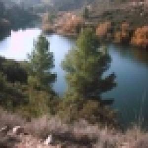 Lov na Rio Ebro – malí kapri