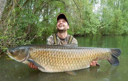 Carp Food - pre maškrtné kapry a amury Carp Food - pre maškrtné kapry a amury