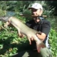 Porovn�vanie sonarov, lov ��uky, pou�itie baitcastov�ho n�radia pri love na pr�vla� - nov� telev�zna rel�cia Ryby Rybky Rybi�ky