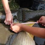 De� venovan� DE�OM - fotogal�ria 304_Workshop 2014.JPG