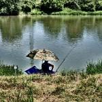 Browning Feeder Cup 2015_0975.JPG