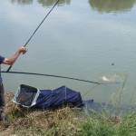 Browning Feeder Cup 2015_0908.JPG