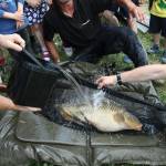 De� venovan� DE�OM - fotogal�ria 163_Workshop 2014.JPG