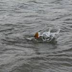 De� venovan� DE�OM - fotogal�ria 130_Workshop 2014.JPG