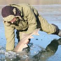 Ryb�rske okienko v Pie��anskom t��dni