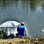 Browning Feeder Cup 2015_0976.JPG