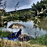 Browning Feeder Cup 2015_0940.JPG