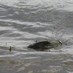 De� venovan� DE�OM - fotogal�ria 194_Workshop 2014.JPG