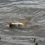 De� venovan� DE�OM - fotogal�ria 198_Workshop 2014.JPG