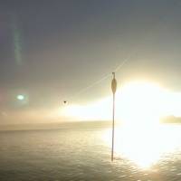 Ryb�ri, chr��te sa pred slnkom!