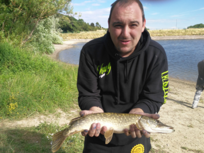 Sportex Competition Carp - Stanislav Kluka