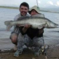 ALBASTAR - ZNAČKA KTORÁ VÁS NESKLAME! ALBASTAR - ZNAČKA KTORÁ VÁS NESKLAME!