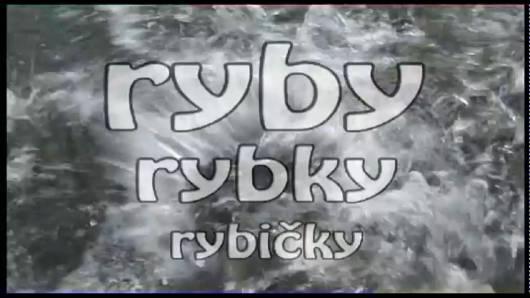 Televízna relácia o rybách a rybároch Ryby, rybky rybičky na špecializovaným televíznym kanálom o love, rybolove, prírode a dobrodružstve - Fishing and Hunting!!! Televízna relácia o rybách a rybároch Ryby, rybky rybičky na špecializovaným televíznym kanálom o love, rybolove, prírode a dobrodružstve - Fishing and Hunting!!!