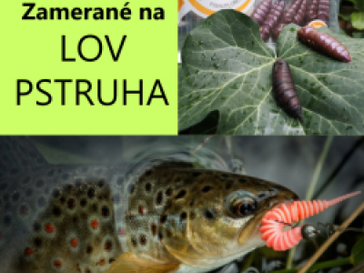 Pripravte sa na pstruhov seznu