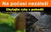 Novinka: Multifunkčné dáždniky Tandem Baits Novinka: Multifunkčné dáždniky Tandem Baits