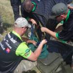 Browning Feeder Cup 2015_1010.JPG