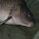 DSC_0863.JPG