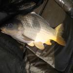 De� venovan� DE�OM - fotogal�ria 303_Workshop 2014.JPG