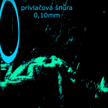 Ukážka snímania : sonda Lowrance Active Target2