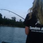 De� venovan� DE�OM - fotogal�ria 