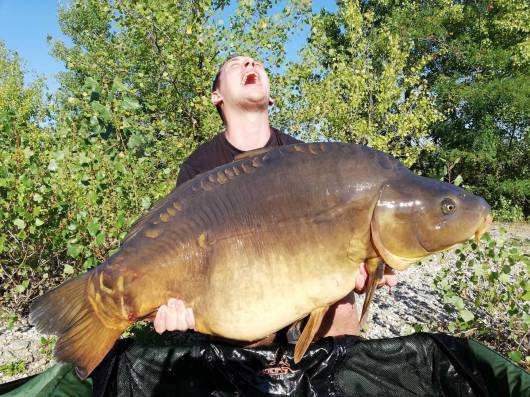 Letná topka na kapra: Rybacie boilies a dipy