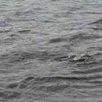 De� venovan� DE�OM - fotogal�ria 129_Workshop 2014.JPG