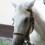 De� venovan� DE�OM - fotogal�ria 213_Workshop 2014.JPG