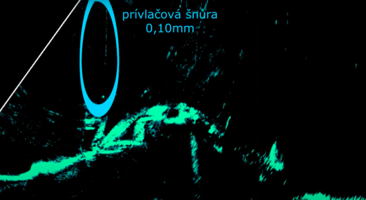 Ukážka snímania : sonda Lowrance Active Target2