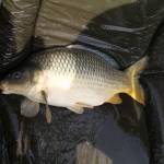 De� venovan� DE�OM - fotogal�ria 306_Workshop 2014.JPG