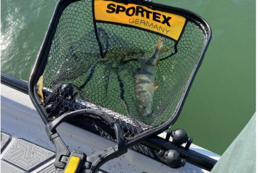 Sportex podberák do každej rybárskej výbavy Sportex podberák do každej rybárskej výbavy