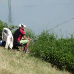 Browning Feeder Cup 2015_0948.JPG